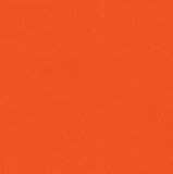 Canvas Orange