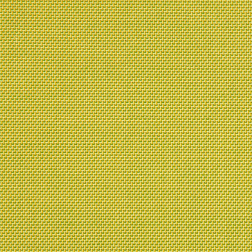 Spotlight Citron
