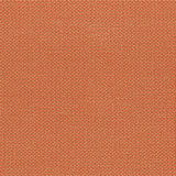 Sempre Tangerine