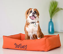 custom dog beds